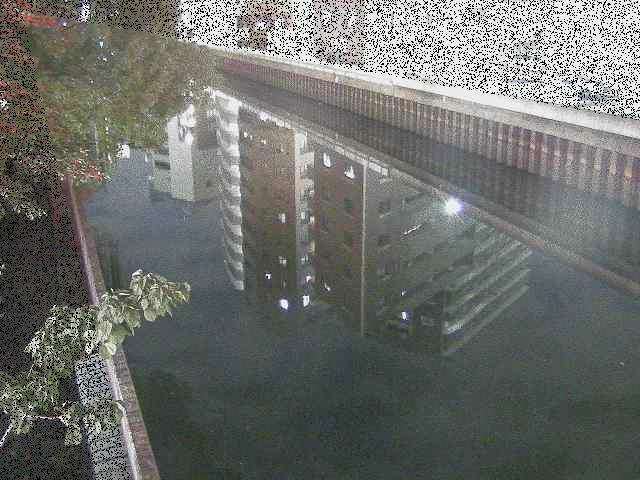 新田間川 新田間橋付近のカメラ画像