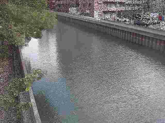 新田間橋付近のカメラ画像