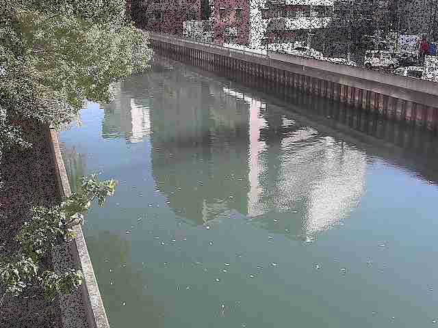 新田間橋付近のカメラ画像