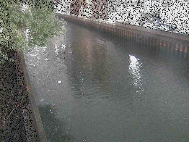 新田間川 新田間橋付近のカメラ画像