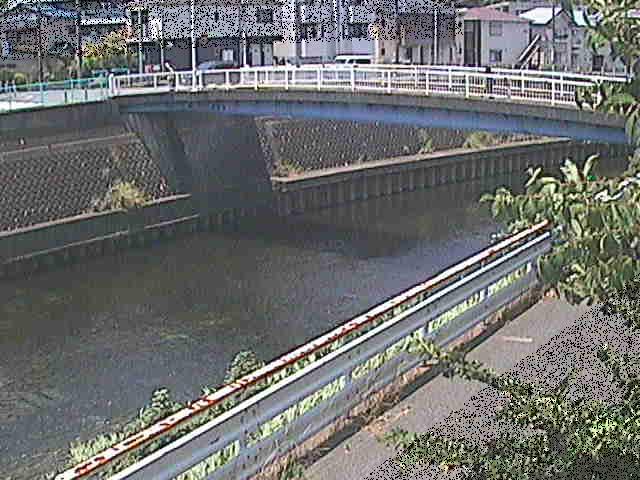 柏尾川 鷹匠橋付近のカメラ画像