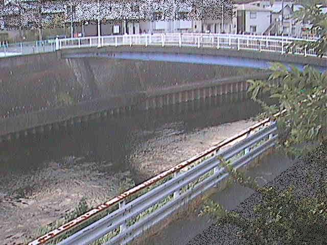 柏尾川 鷹匠橋付近のカメラ画像