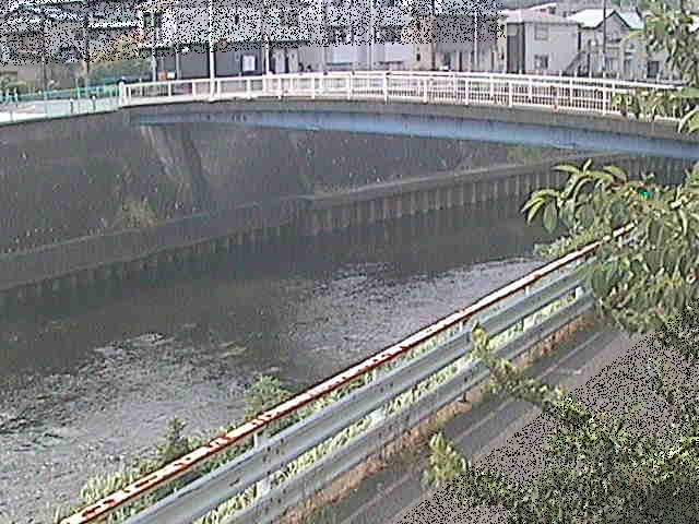柏尾川 鷹匠橋付近のカメラ画像