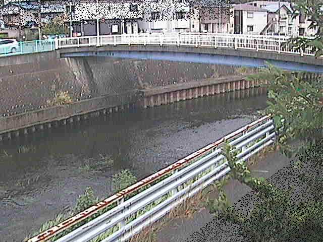 柏尾川 鷹匠橋付近のカメラ画像