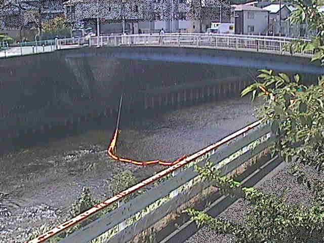 柏尾川 鷹匠橋付近のカメラ画像