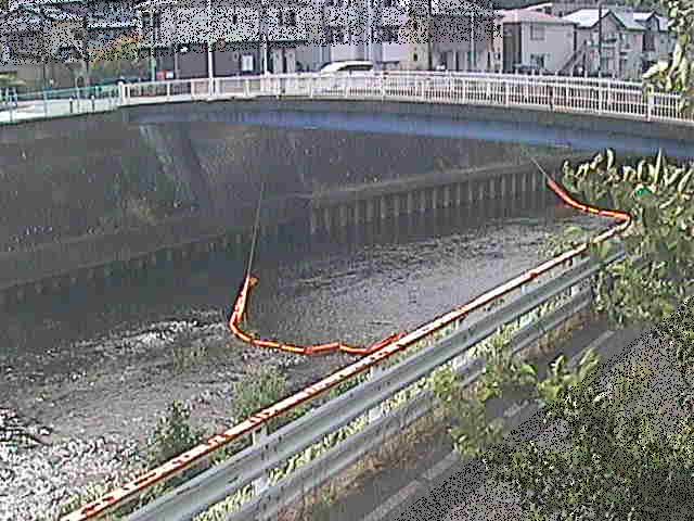 柏尾川 鷹匠橋付近のカメラ画像