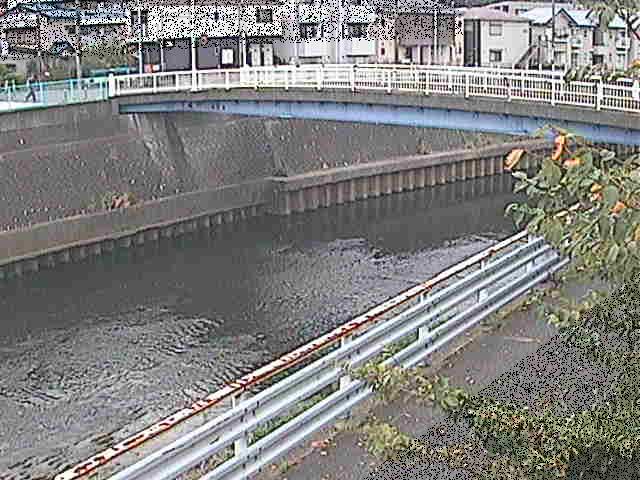 柏尾川 鷹匠橋付近のカメラ画像