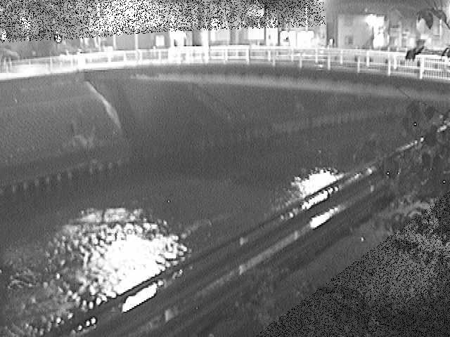 柏尾川 鷹匠橋付近のカメラ画像