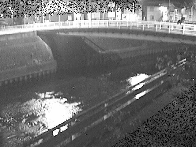 柏尾川 鷹匠橋付近のカメラ画像