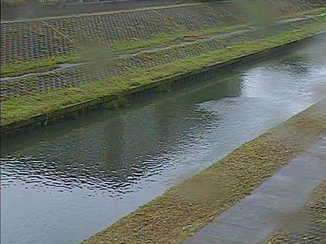 元町橋付近のカメラ画像