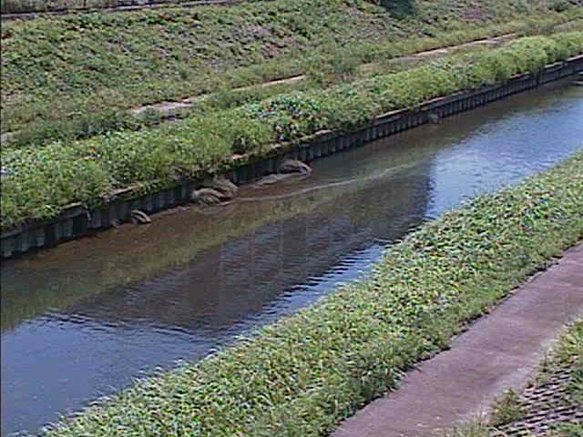 柏尾川 元町橋付近のカメラ画像