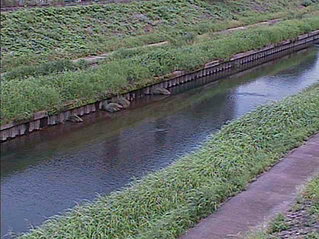 元町橋付近のカメラ画像