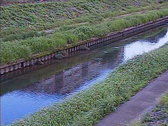柏尾川 元町橋付近のカメラ画像