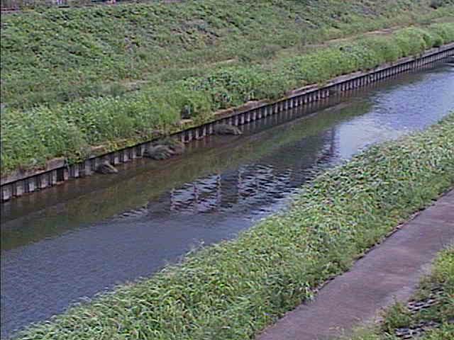 柏尾川 元町橋付近のカメラ画像