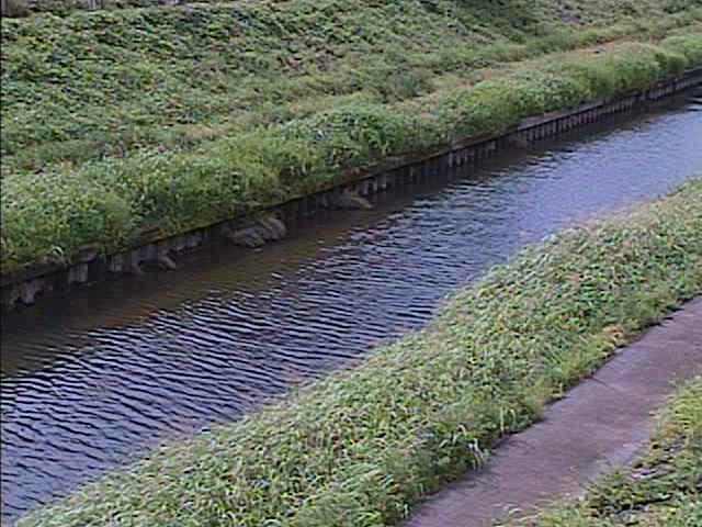 柏尾川 元町橋付近のカメラ画像