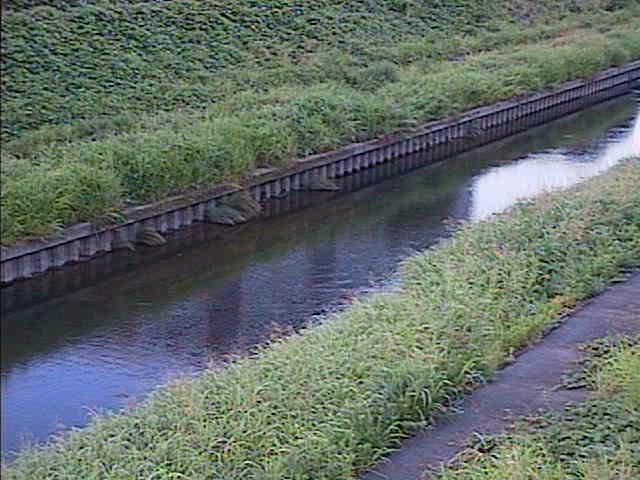 元町橋付近のカメラ画像