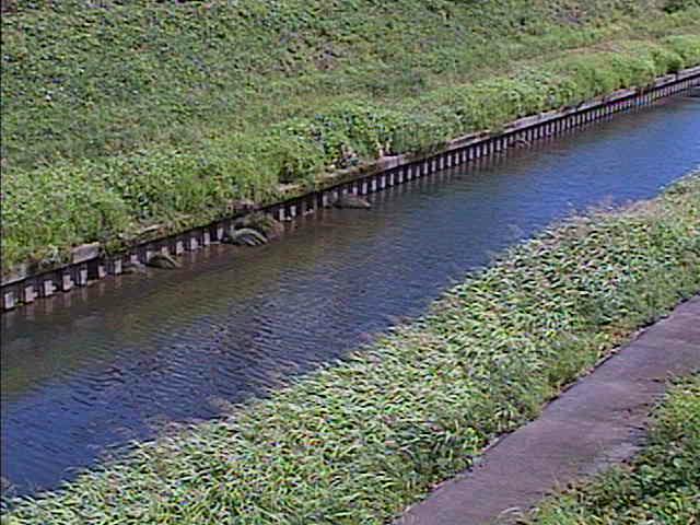 柏尾川 元町橋付近のカメラ画像