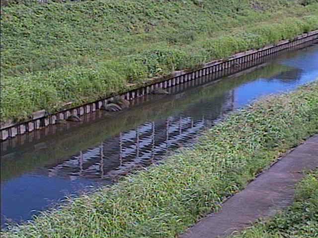 柏尾川 元町橋付近のカメラ画像