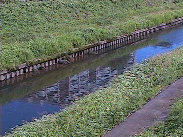 元町橋付近のカメラ画像