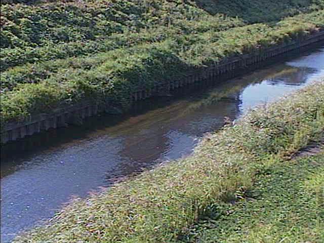 柏尾川 元町橋付近のカメラ画像