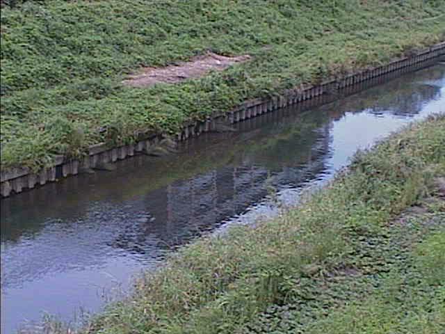柏尾川 元町橋付近のカメラ画像