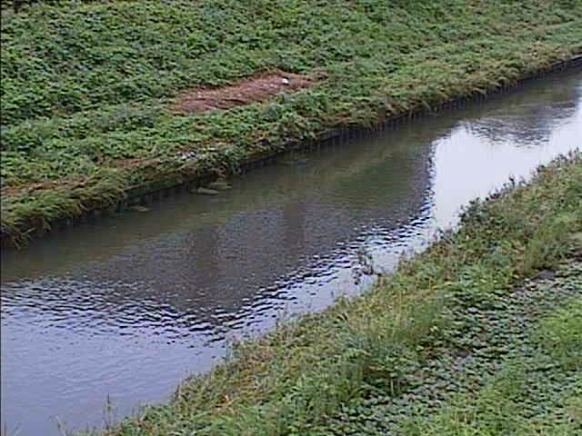 元町橋付近のカメラ画像