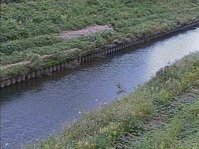 柏尾川 元町橋付近のカメラ画像