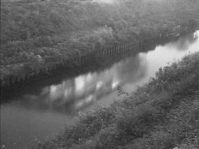 柏尾川 元町橋付近のカメラ画像