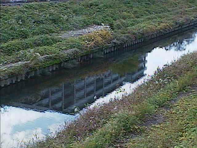 元町橋付近のカメラ画像