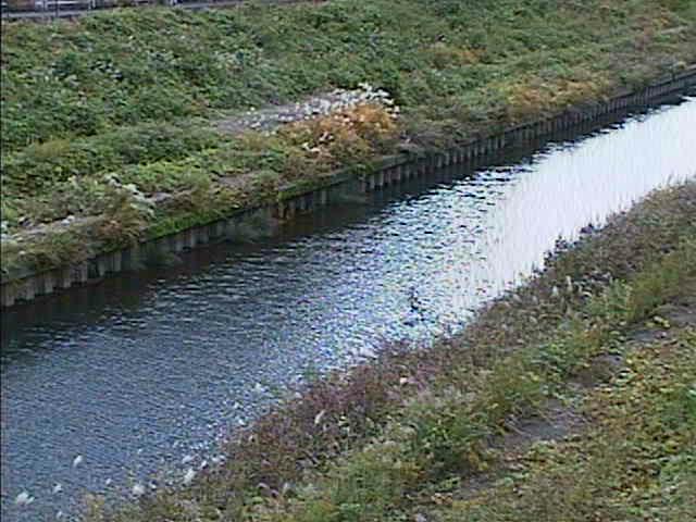 元町橋付近のカメラ画像