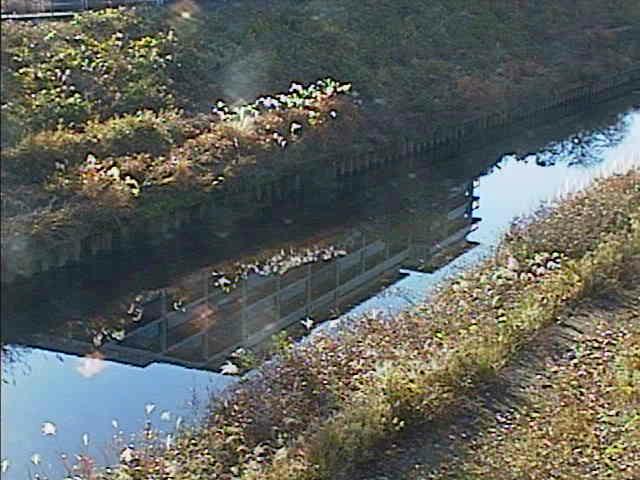 元町橋付近のカメラ画像