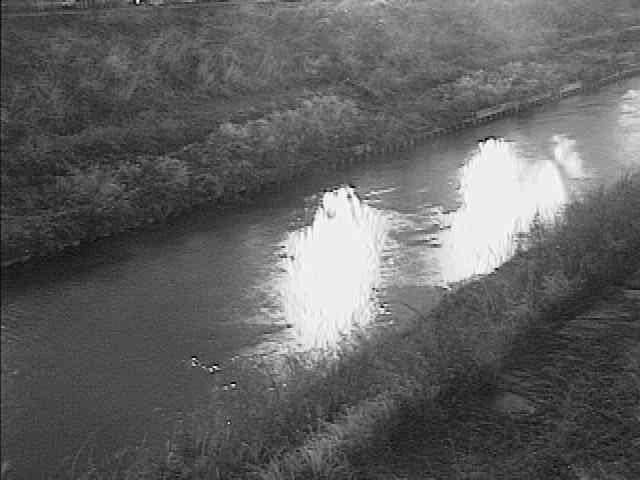 柏尾川 元町橋付近のカメラ画像