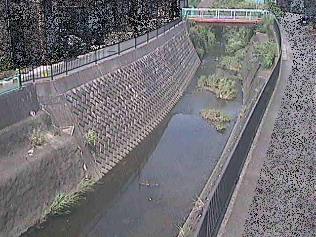 大岡川 埋田橋付近のカメラ画像