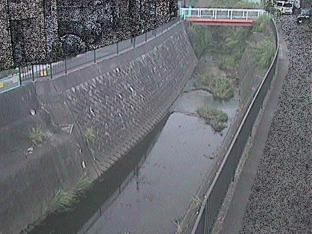 大岡川 埋田橋付近のカメラ画像