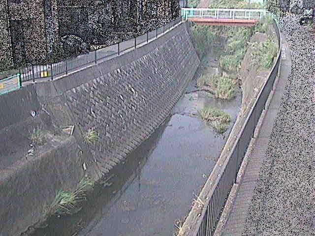 大岡川 埋田橋付近のカメラ画像