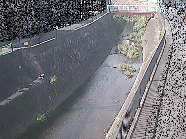 大岡川 埋田橋付近のカメラ画像