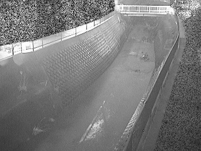 大岡川 埋田橋付近のカメラ画像