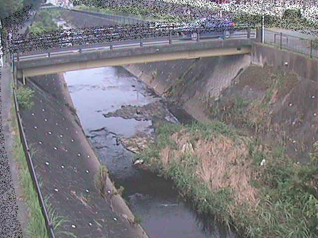 早淵川 鍛冶橋付近のカメラ画像