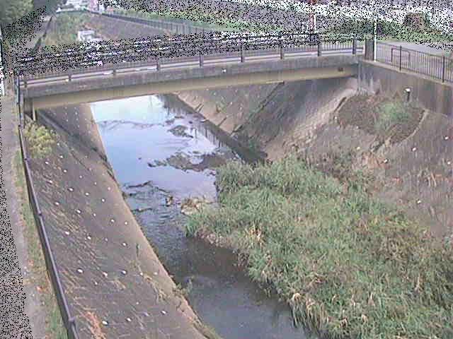早淵川 鍛冶橋付近のカメラ画像