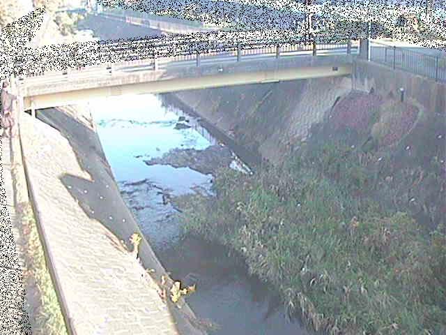 鍛冶橋付近のカメラ画像