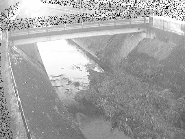 早淵川 鍛冶橋付近のカメラ画像