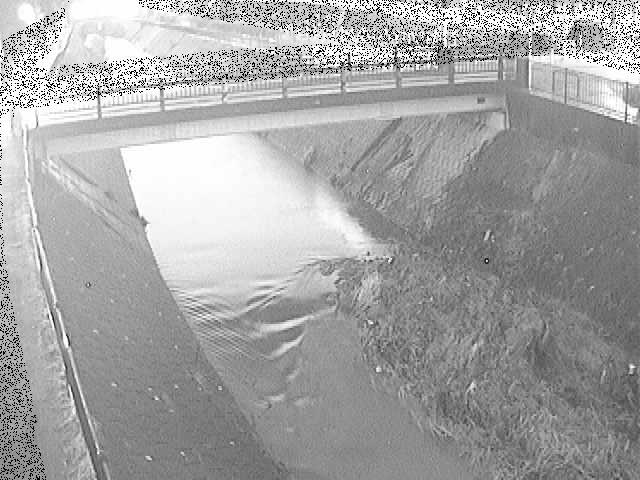 早淵川 鍛冶橋付近のカメラ画像