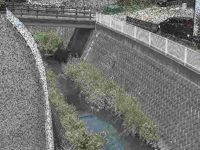 中堀川 愛宕白根橋付近のカメラ画像