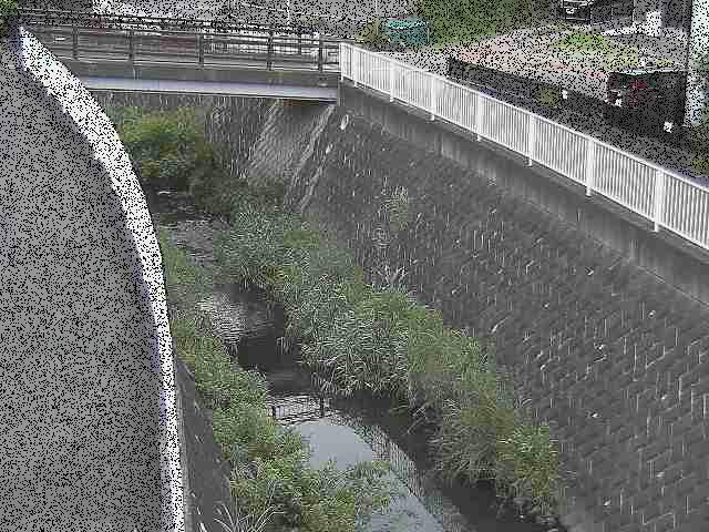 中堀川 愛宕白根橋付近のカメラ画像