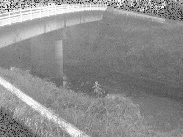 鶴見川 寺家橋付近のカメラ画像