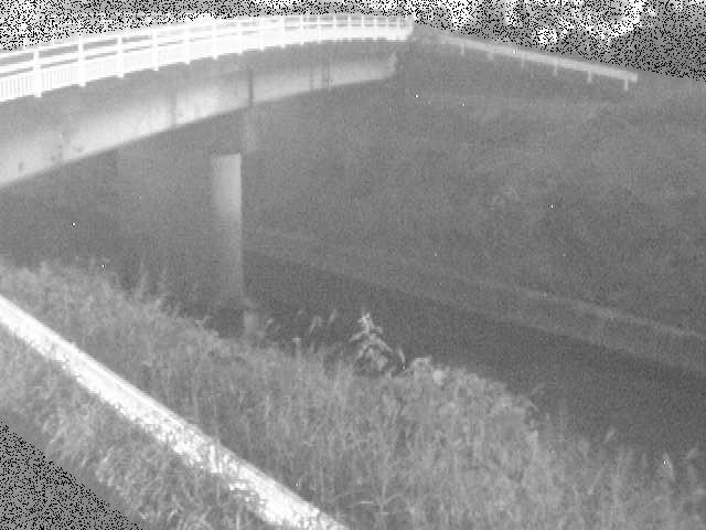 鶴見川 寺家橋付近のカメラ画像