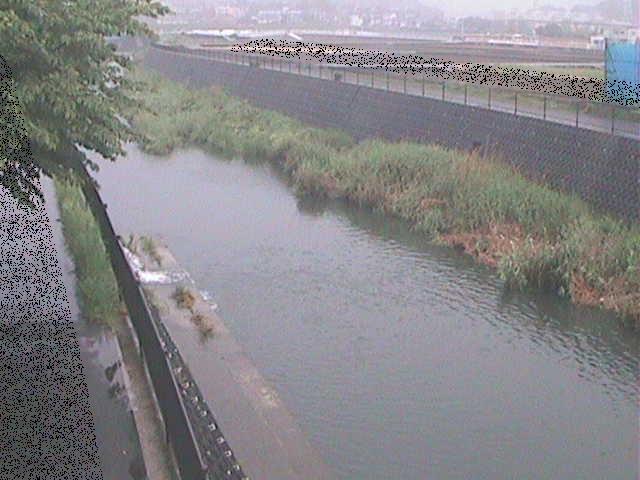 浅山橋付近のカメラ画像