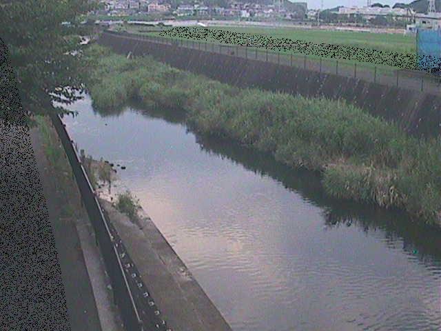 浅山橋付近のカメラ画像