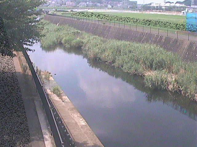 浅山橋付近のカメラ画像