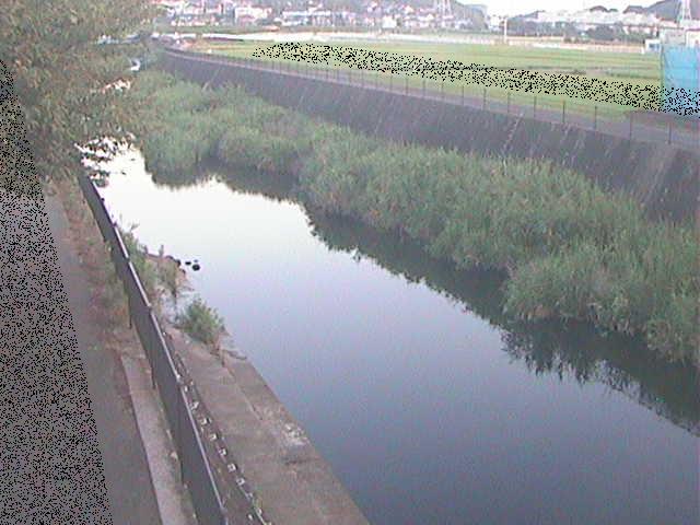 浅山橋付近のカメラ画像